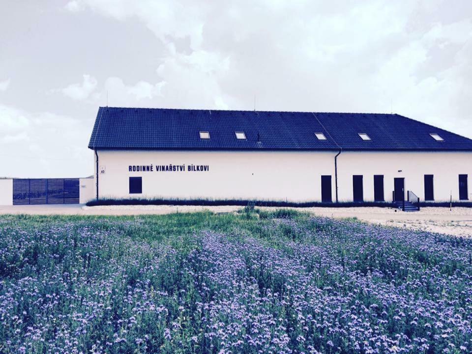 Penzion Vinarstvi Bilkovi Velké Bílovice エクステリア 写真