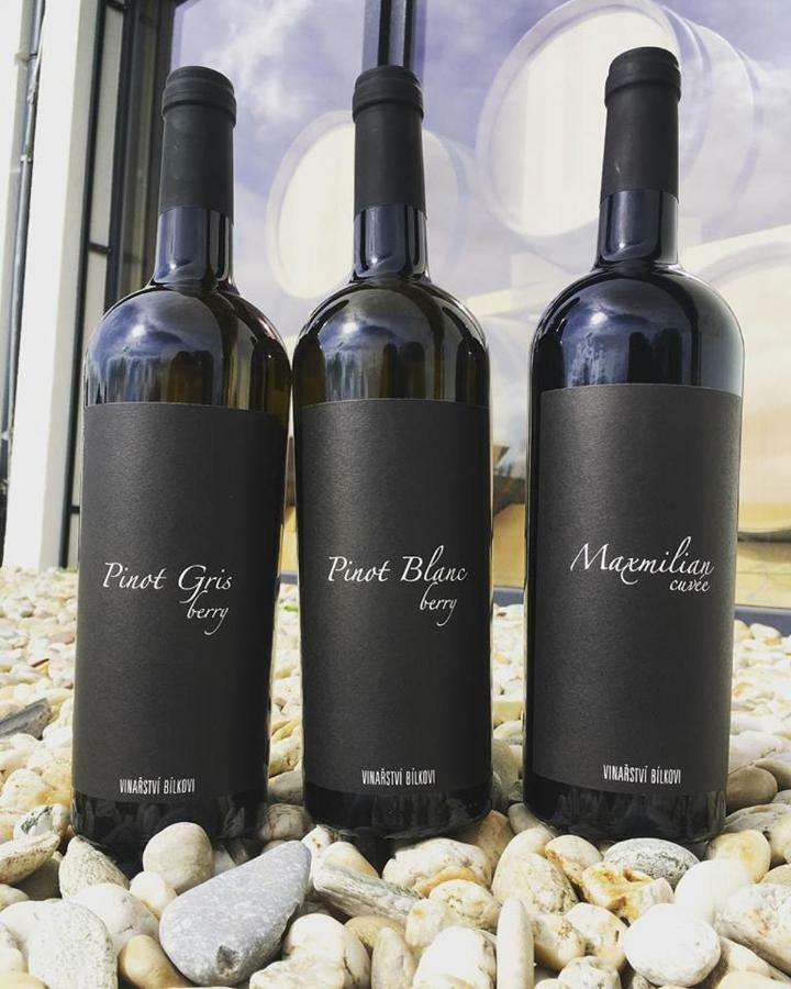 Penzion Vinarstvi Bilkovi Velké Bílovice エクステリア 写真